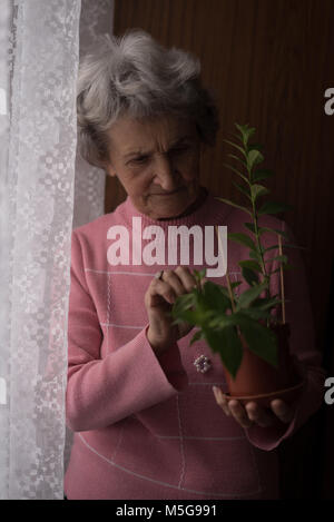 Senior woman checking a plant Banque D'Images