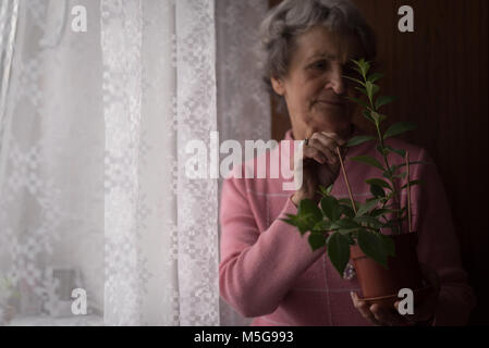 Senior woman checking a plant Banque D'Images