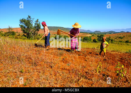 Deux femmes d'agriculteurs travaillent sur un domaine dans les collines de la région tribale de la manière traditionnelle Banque D'Images