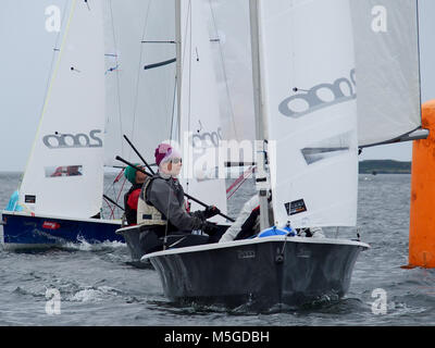 2000 Voile canot, de champions nationaux à North Berwick Banque D'Images