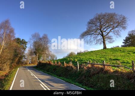 Paysage rural et un arbre de chêne entre Sariego et Nava, Asturias, Espagne Banque D'Images