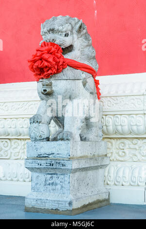 Statue en pierre traditionnelle d'un tuteur chinois lion (mâle), vêtu d'un gros noeud rouge autour du cou pour célébrer le nouvel an chinois, posté à l'avant o Banque D'Images