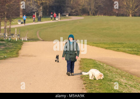 Dog walker dans les marais de Hackney, Londres, Angleterre, Royaume-Uni, UK Banque D'Images