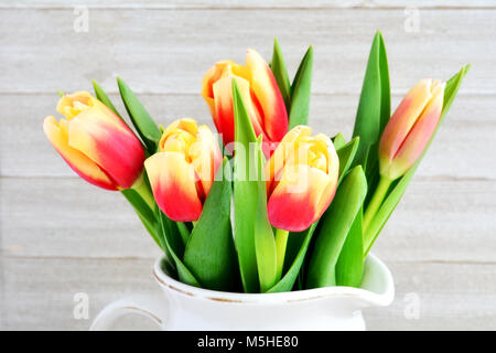 Tulipes rouges et jaunes libre en format horizontal et tourné en lumière naturelle Banque D'Images