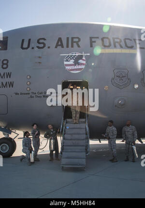 Le chef de l'US Air Force Master Sgt. Shelina Frey, le premier sergent-chef pour l'Air Mobility Command, Scott Air Force Base, Ill., célèbre son dernier vol officiel à bord d'un C-17 Globemaster III, Février 12, 2018, Travis Air Force Base, Californie Frey va prendre sa retraite cette année après presque 34 ans de service. (U.S. Air Force Banque D'Images