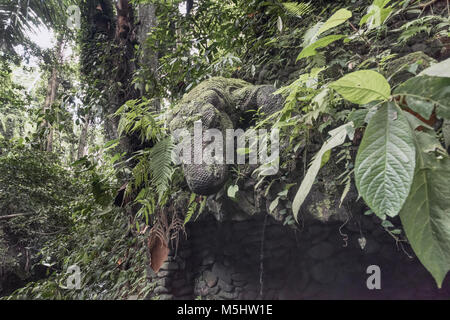 De pierre couvert de mousse de Komodo à la sur une corniche, Sacré Sanctuaire Monkey Forest, Ubud, Bali Banque D'Images