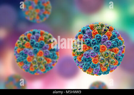 Les rotavirus, particules illustration de l'ordinateur. Cette particule virale se compose d'un ARN (acide ribonucléique) noyau entouré d'une triple capside en couches. Les rotavirus sont probablement le plus commun des virus pour infecter les humains et les animaux. Ils sont associés à la gastro-entérite et la diarrhée - généralement d'infecter les intestins des enfants âgés de 6 mois à 3 ans. Les virus se propagent dans les fèces. Banque D'Images