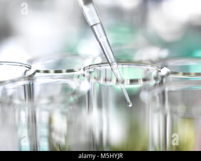 L'échantillon à la pipette dans les tubes à essai au cours d'une expérience de laboratoire Banque D'Images