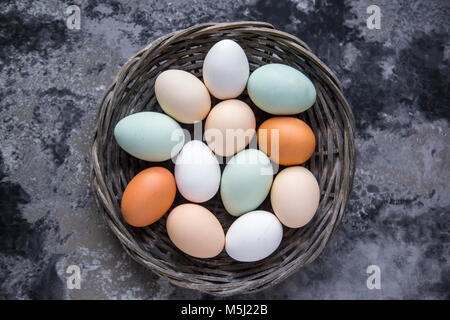 Oeufs différents, blanc, marron, marron clair et œufs verts Banque D'Images