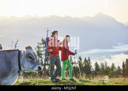 Autriche, Tyrol, Plateau de Mieming, les randonneurs sur prairie alpine avec cow Banque D'Images