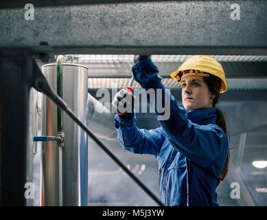 Artisane wearing hard hat au travail Banque D'Images