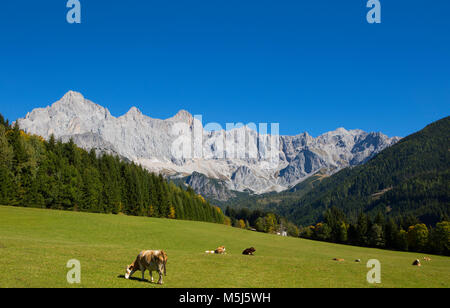 L'Autriche, l'état de Salzbourg, Filzmoos, Hachau, alpages, vue de Dachstein, massif du Dachstein Banque D'Images