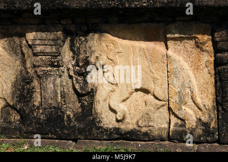 Polonnaruwa North Central Province Sri Lanka Salle du conseil du roi Banque D'Images