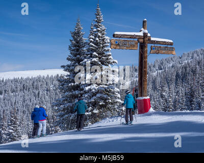 Haut de la Cloud Nine et Big Rock Park ski de fond, l'hiver, Blue Sky Basin, Station de Ski de Vail, Vail, Colorado. Banque D'Images