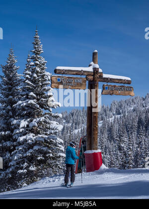 Haut de la Cloud Nine et Big Rock Park ski de fond, l'hiver, Blue Sky Basin, Station de Ski de Vail, Vail, Colorado. Banque D'Images