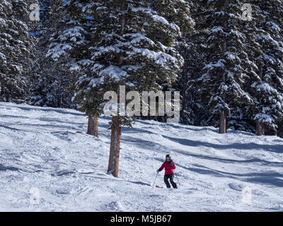 Le skieur skis Star Trail, hiver, Blue Sky Basin, Station de Ski de Vail, Vail, Colorado. Banque D'Images