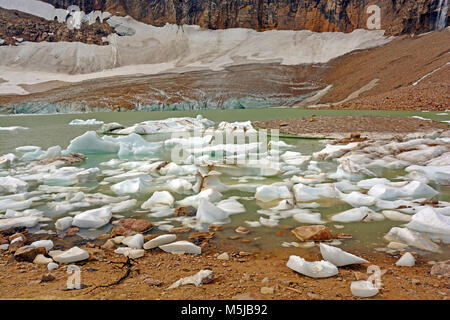 Étang Cavell et des glaciers dans le parc national Jasper au Canada Banque D'Images