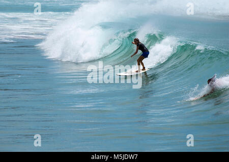 Surf à Manly Beach un jour d'été, Sydney, Australie Banque D'Images