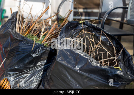 Les déchets de jardin de brindilles et de feuilles dans des sacs en plastique noir Banque D'Images