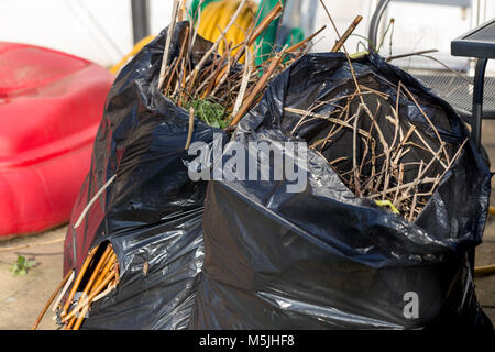 Les déchets de jardin de brindilles et de feuilles dans des sacs en plastique noir Banque D'Images