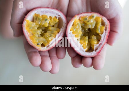 Main de caucasian woman holding Juicy Fruit de la passion Banque D'Images