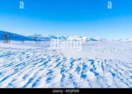 Vue de paysage de neige dans la région de Beitostolen. L'hiver en Norvège Banque D'Images