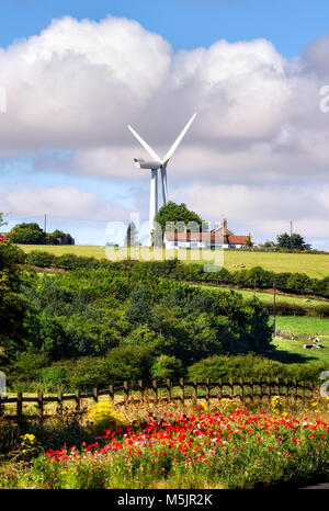 Beau paysage avec un moulin à vent et de fleurs dans le nord-est de l'Angleterre. Banque D'Images