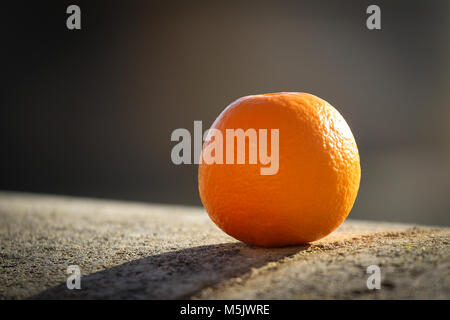 Dans la région de Córdoba, l'Espagne, il y a des oranges partout dans les arbres. Banque D'Images