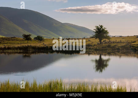 Tarn Tewet et au-delà, dans toute la vallée de Greta, Blencathra, près de Keswick, Lake District, Cumbria, Angleterre Banque D'Images