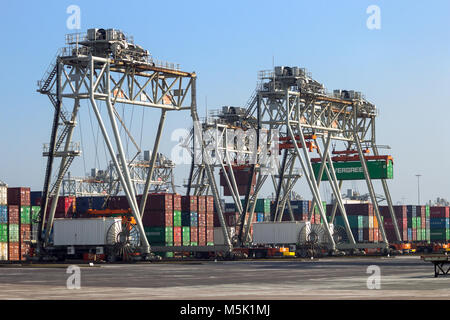 ROTTERDAM, Pays-Bas - SEP 8, 2012 : Déménagement de véhicules à guidage automatique des conteneurs d'expédition dans un terminal à conteneurs du port de Rotterdam. Banque D'Images