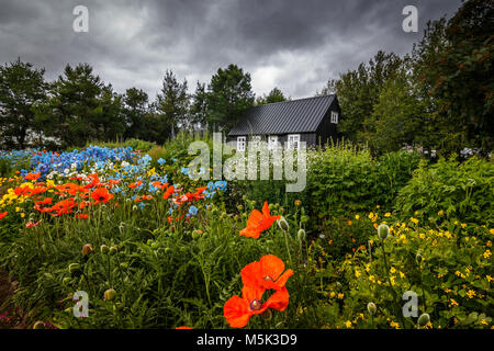 Maison de bois noir entourée de fleurs dans le jardin botanique d'Akureyri, Islande Banque D'Images
