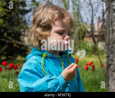 Belle petite fille soufflant le pissenlit. Selective focus Banque D'Images