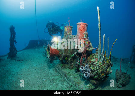 Scuba Diver à Halliburton ship wreck, recouvert d'éponges, de l'île d'Utila, Bay Islands, Honduras, Caraïbes Banque D'Images