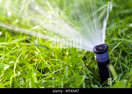 De l'eau gazon pulvériser de l'eau sprinkleur sur l'herbe dans le jardin sur une chaude journée d'été. L'arrosage automatique des pelouses. Le jardinage et de l'environnement concept. Banque D'Images