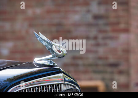 Ornement de capot aigle volant Banque de photographies et d'images à haute  résolution - Alamy