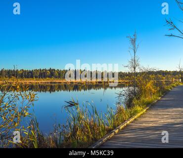Pont en bois à côté d'un lac en face d'un ciel bleu, soleil, Schwenninger Moos, Allemagne Banque D'Images