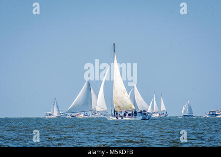 Groupe de musique traditionnelle Le listao bateaux sur les eaux libres de la baie de Chesapeake en compétition dans l'île de traiter chaque année des courses de listao, l'Île de faire face, au Maryland Banque D'Images