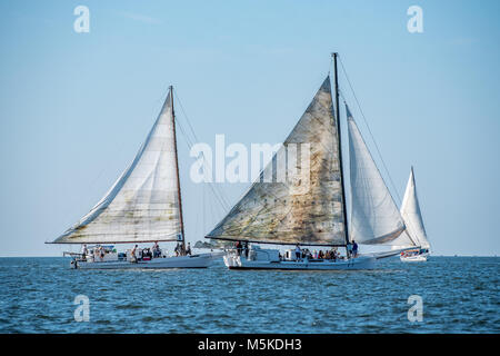 Deux bateaux de listao traditionnel au coude à coude sur la baie de Chesapeake en accord annuel Island Race, Listao Deal Island, Maryland. Banque D'Images