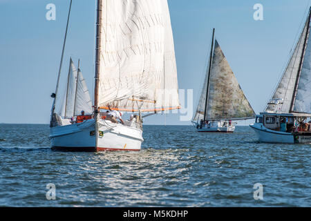 Le listao traditionnels voile coupe à travers les eaux de la baie de Chesapeake avec d'autres navires de listao dans l'autre sens en accord annuel Island Race, Listao Banque D'Images