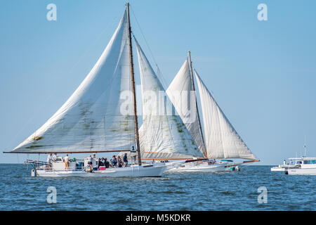 Deux bateaux de listao traditionnel au coude à coude sur la baie de Chesapeake en accord annuel Island Race, Listao Deal Island, Maryland. Banque D'Images