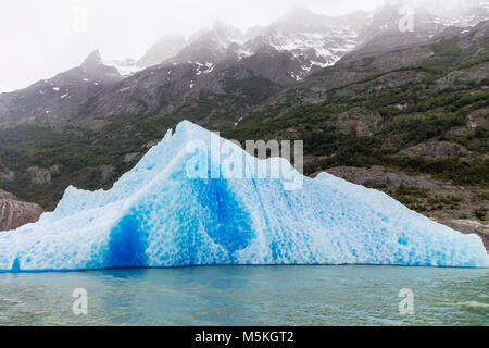 Iceburgs vêlé du Glaciar Gray flottent dans lac Grey ; Parc National Torres del Paine, Patagonie, Chili Banque D'Images
