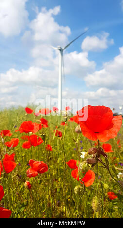 L'éolienne est un dispositif qui convertit l'énergie cinétique du vent en énergie électrique. Il reste sur l'été idyllique paysage de prairie de coquelicots, Banque D'Images