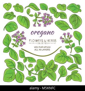 L'origan de l'installation définie sur fond blanc Illustration de Vecteur