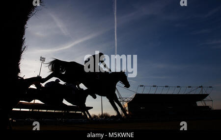 Le domaine se profilent comme ils sautent sur le premier circuit de l'échange Betdaq 2 % Commission Handicap Chase à l'Hippodrome de Kempton. Banque D'Images