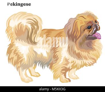Portrait de chien mignon petit canard debout de profil, vector illustration colorées isolé sur fond blanc Illustration de Vecteur