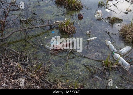 La pollution des plans d'eau problème écologique. Banque D'Images