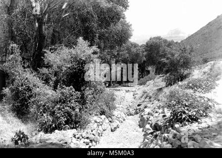 B Historique Grand Canyon Bright Angel Trail . INDIAN GARDENS DE PRÈS DE STATION FORESTIÈRE. Certaines parties du sentier. Contrôle de l'érosion montre le travail. 25 mars 1936. Banque D'Images