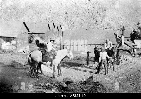 Grand Canyon Camp Ermite Scène . Photo décolorée de mule partie prépare à quitter le camp de l'ermite. Rangée de cabines derrière. 26 juillet 1919. Madden. Sentier Hermit beaucoup période pionnière de l'histoire du nord de l'Arizona s'articule autour de plusieurs programmes de développement conçus pour promouvoir et capitaliser sur l'indescriptible mais magique indéniable du Grand Canyon. L'Ermite du bassin du ruisseau a été le théâtre d'une des plus agressive de ces amélioration eff Banque D'Images