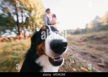 Portrait of happy young couple in vêtement élégant chien alimentation extérieur. forêt d'automne Banque D'Images