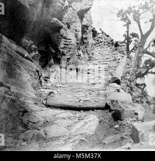 Grand Canyon Trail Grandview Historique . Jusqu'à une pente raide SUR LE GRANDVIEW TRAIL. Lit le journal ET COBBLESTONE CONSTRUCTION. Vers 1905. Banque D'Images